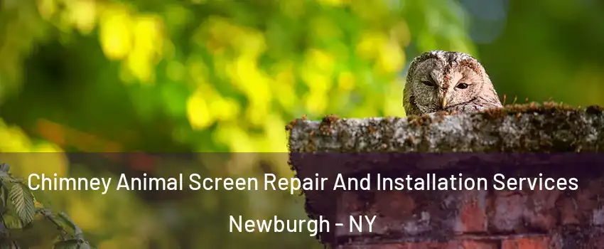  Chimney Animal Screen Repair And Installation Services Newburgh - NY