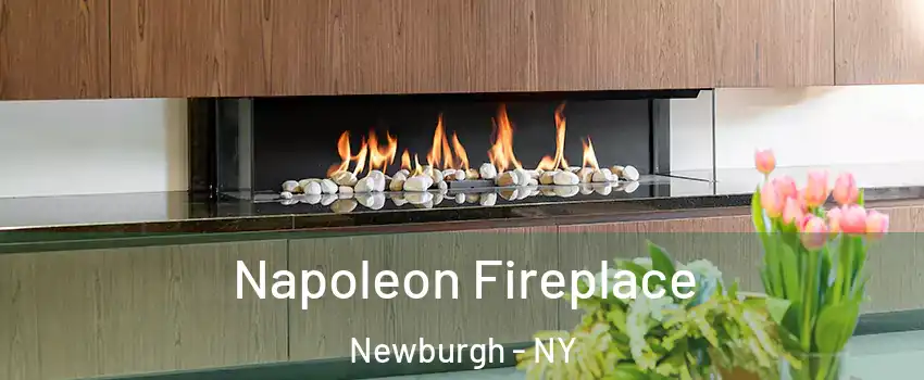  Napoleon Fireplace Newburgh - NY